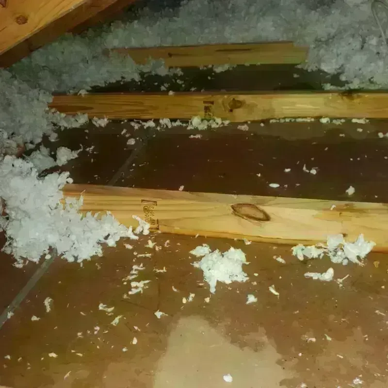 Attic Water Damage in Ferrysburg, MI