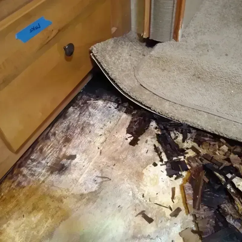 Best Wood Floor Water Damage Service in Ferrysburg, MI